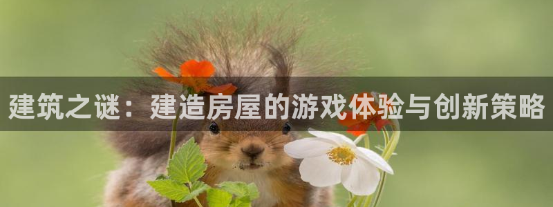 意昂3娱乐网站：建筑之谜：建造房屋的游戏体验与创新策略