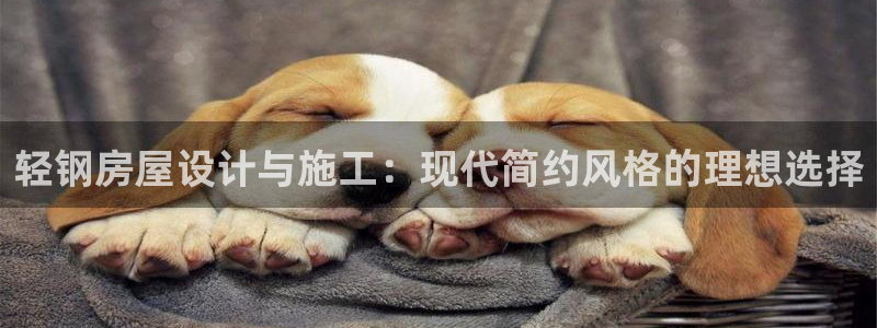 意昂3娱乐：轻钢房屋设计与施工：现代简约风格的理想选择