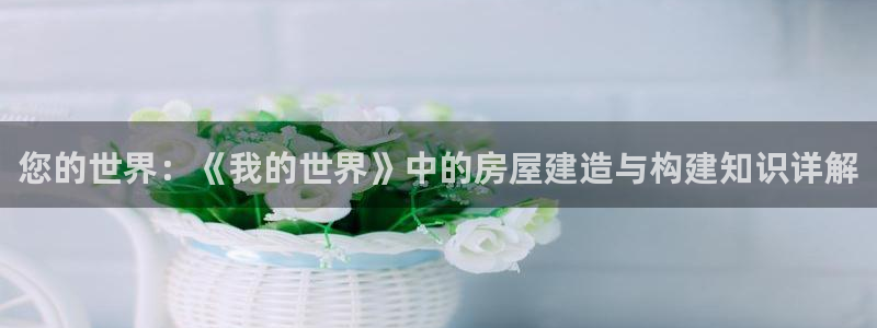 意昂体育3平台是正规平台吗：您的世界：《我的世界》中的房屋建造与构建知识详解