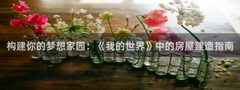 意昂体育3是干嘛的公司：构建你的梦想家园：《我的世界》中的房屋建造指南