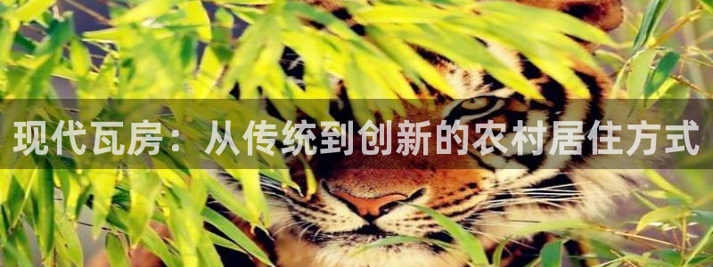 注册意昂3：现代瓦房：从传统到创新的农村居住方式