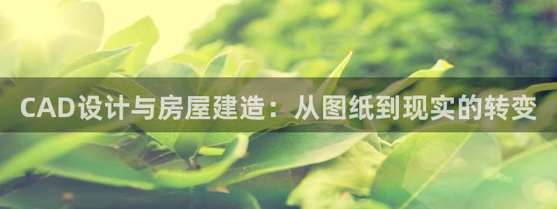 意昂体育3平台是正规平台吗安全吗：CAD设计与房屋建造：从图纸到现实的转变